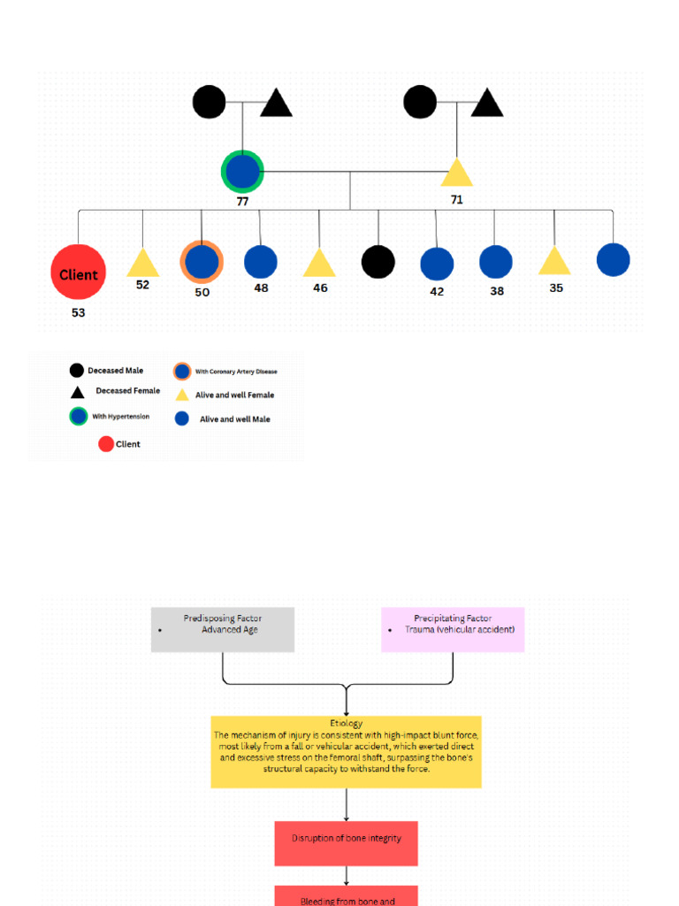 Genogram and Concept Map | PDF