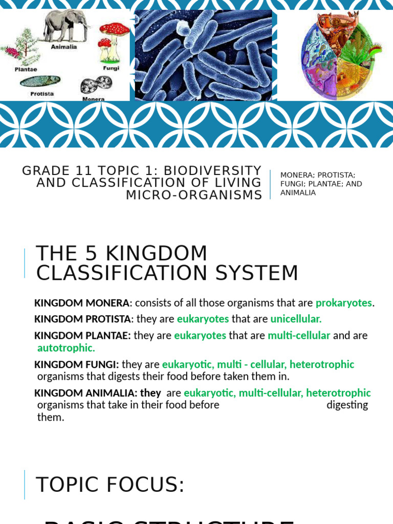 1 Microorgaisms and Symbyosis | PDF | Fungus | Bacteria