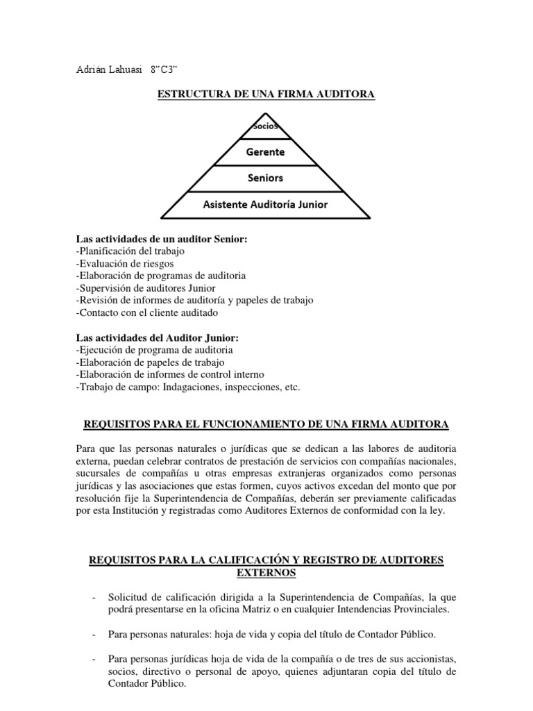 Estructura de Una Firma Auditora | PDF | Auditoría financiera | Contralor