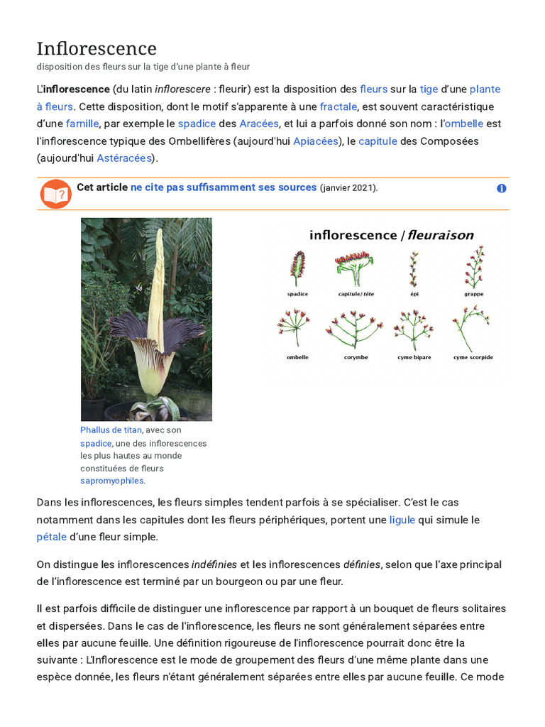 Types d'inflorescences botaniques | PDF | Branches de la Botanique ...
