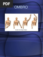 OMBRO - Fisioterapia