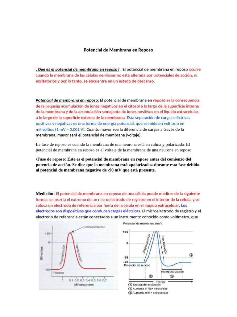 Potencial de Membrana en Reposo: Definición y Medición | PDF