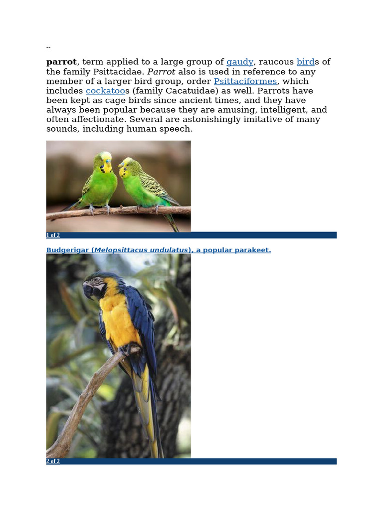 Overview of Parrots and Their Traits | PDF | Parrot | Psittaciformes