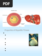 Hepatitis Viruses Overview Chart | PDF