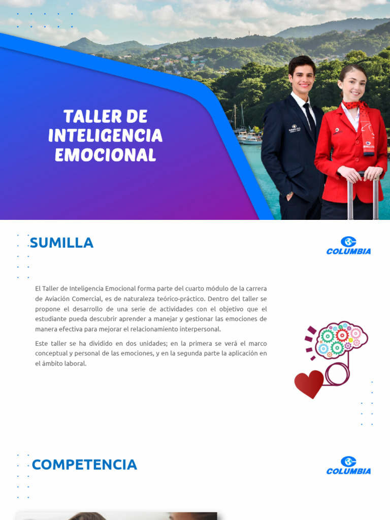 Taller de Inteligencia Emocional en Aviación | PDF | Las emociones ...