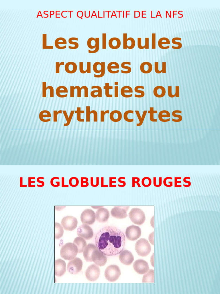 Anomalies des globules rouges en NFS | PDF | Globule rouge | Anémie