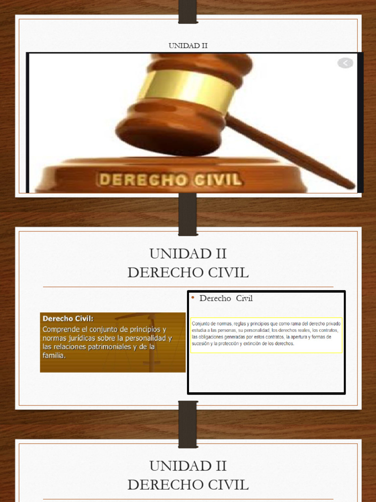 Undd 2 Der. Civil | PDF | Bienes (Ley) | Derecho Civil (Common Law)