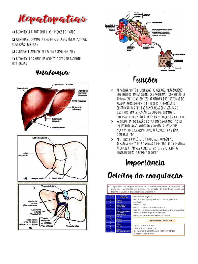 HEPATOPATIAS RESUMO | PDF | Hepatite | Odontologia