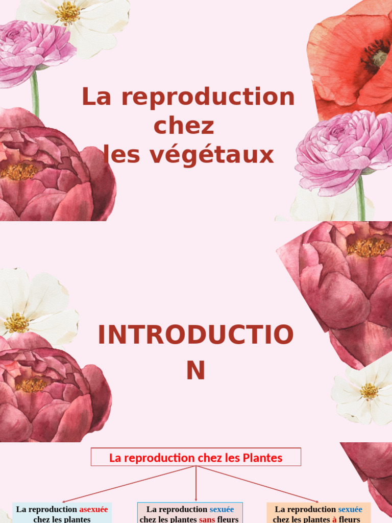 Reproduction des Végétaux: Méthodes et Types | PDF | Fleurs | Pollinisation