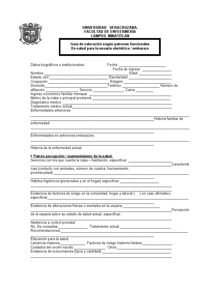 Guia De Valoracion De La Embarazada PDF El Embarazo Parto