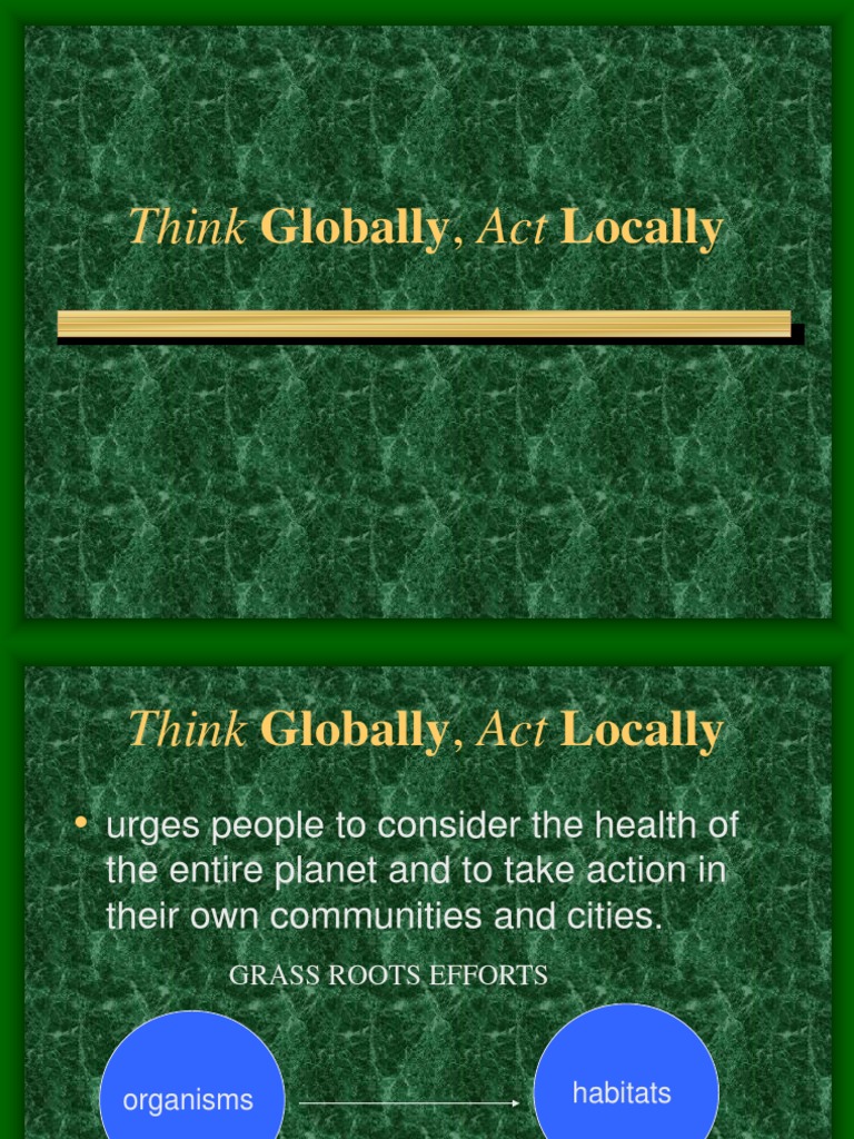Global Action Through Local Efforts | PDF | Business