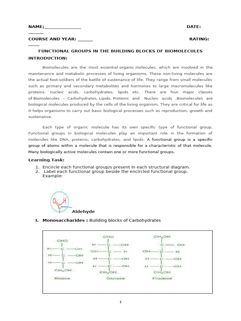 Functional Groups in Biomolecules | PDF