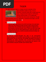 Tiger | PDF