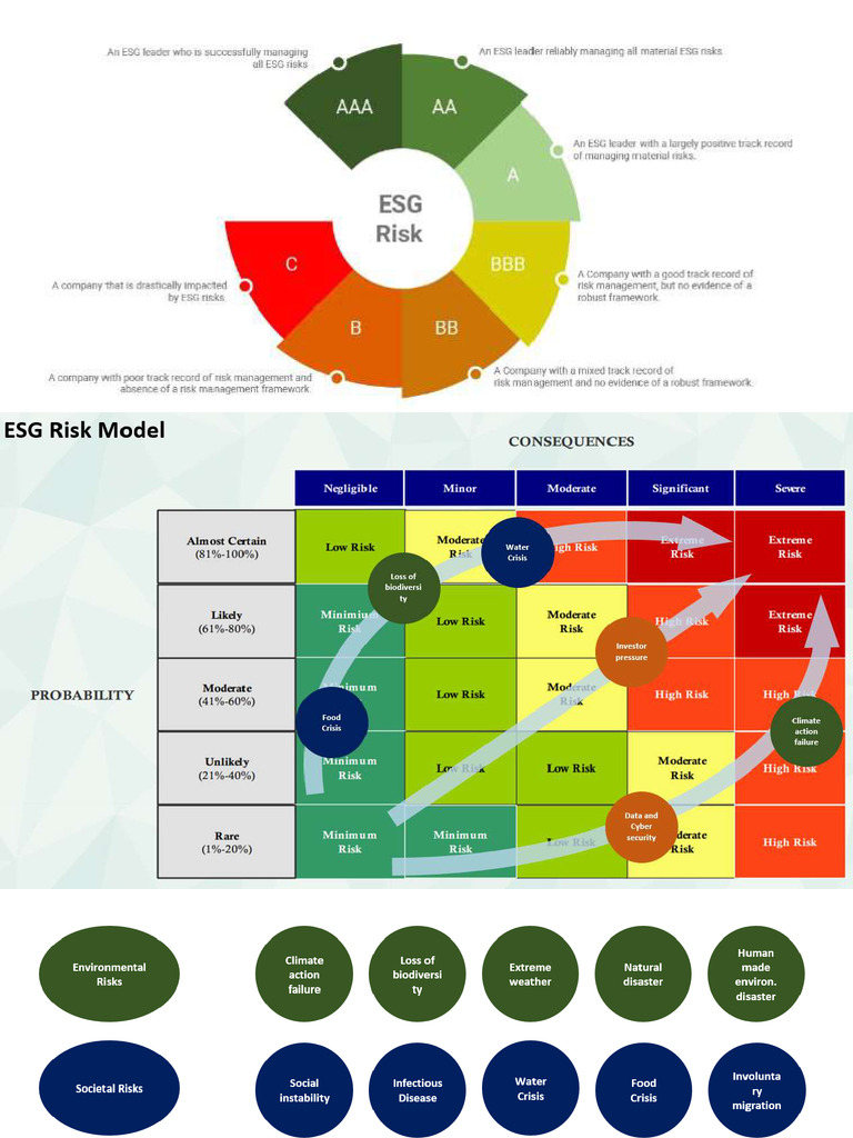 ESG Risk | PDF