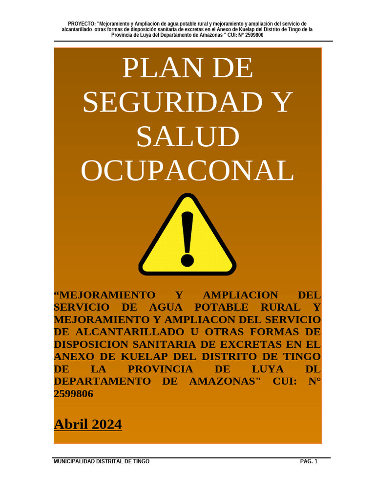 Plan de Seguridad y Salud Ocupacional 2024 | PDF | Seguridad y salud ...