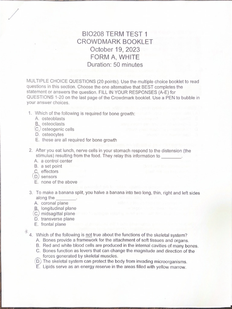 Term Test 1 | PDF