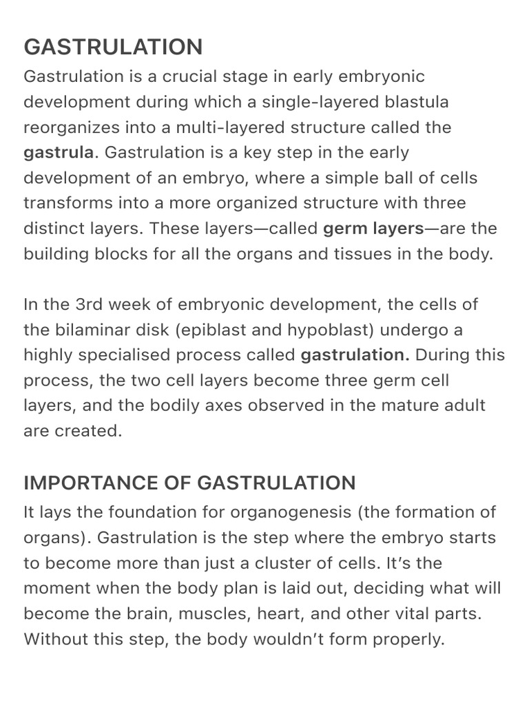 Understanding Gastrulation in Embryo Development | PDF | Anatomy | Zoology