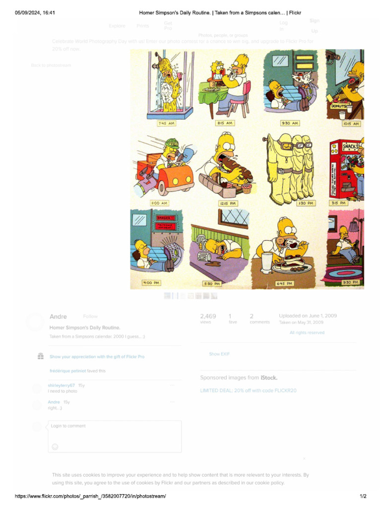 Simpsons Daily Routine | PDF