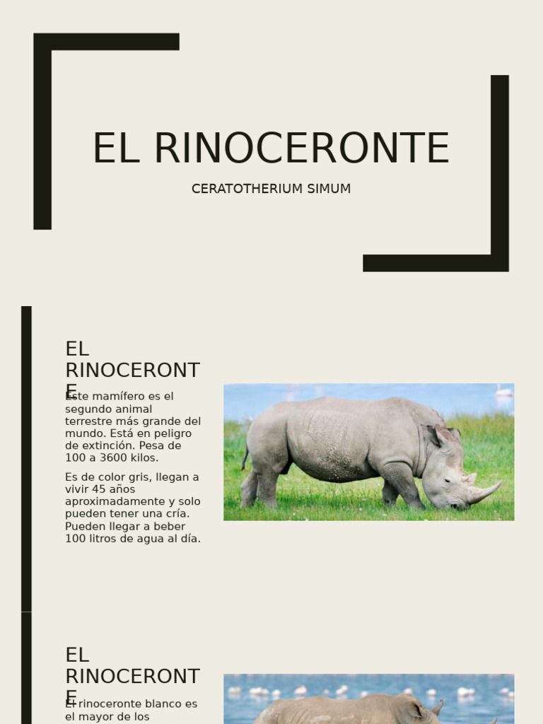 El Rinoceronte | PDF