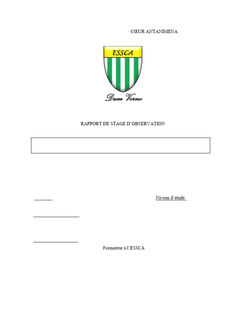 Rapport de Stage en Marketing UCODIS | PDF | Business | Commercialisation