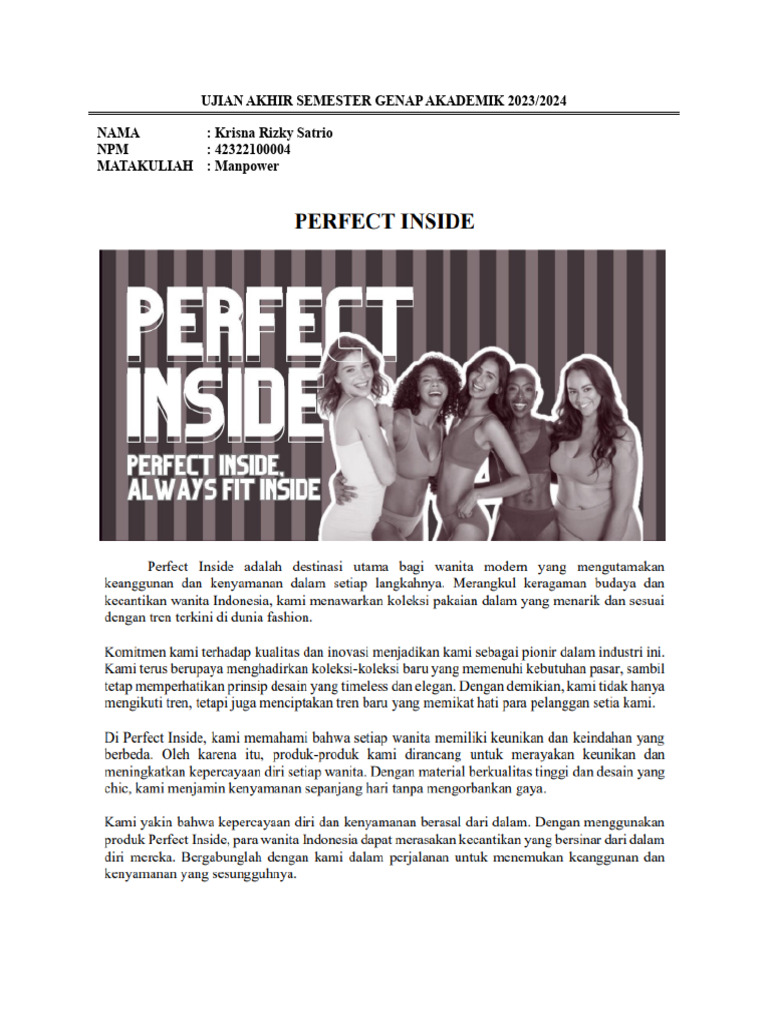 Struktur Organisasi Perfect Inside | PDF