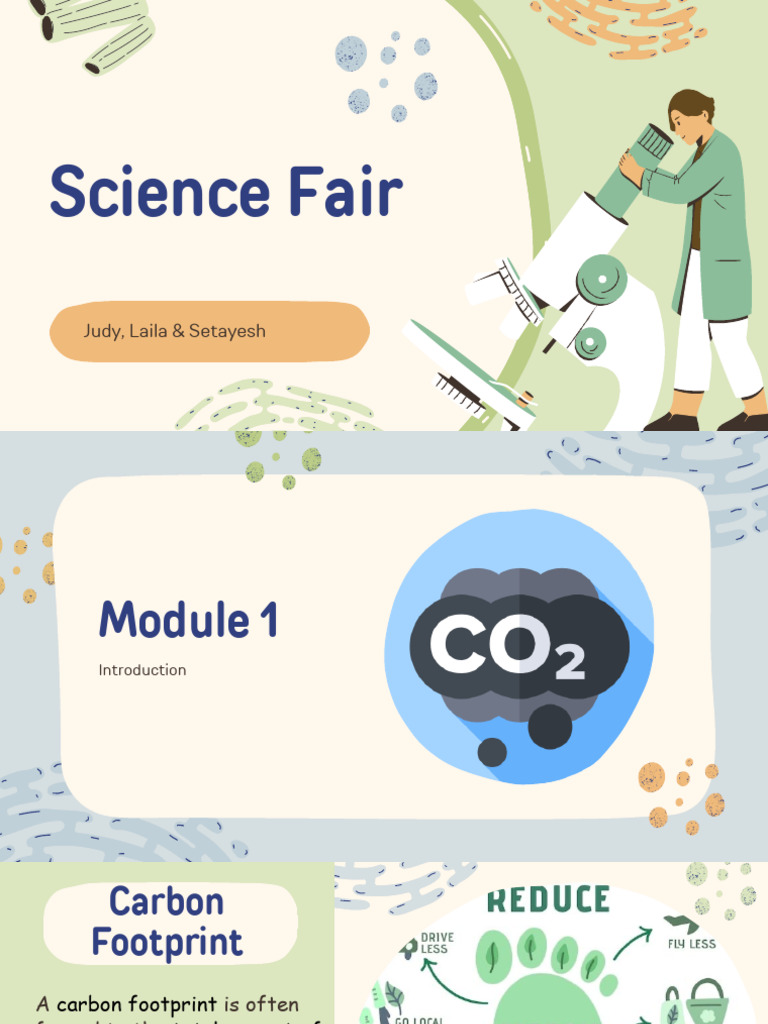 Reducing Your Carbon Footprint Guide | PDF | Foods | Recycling