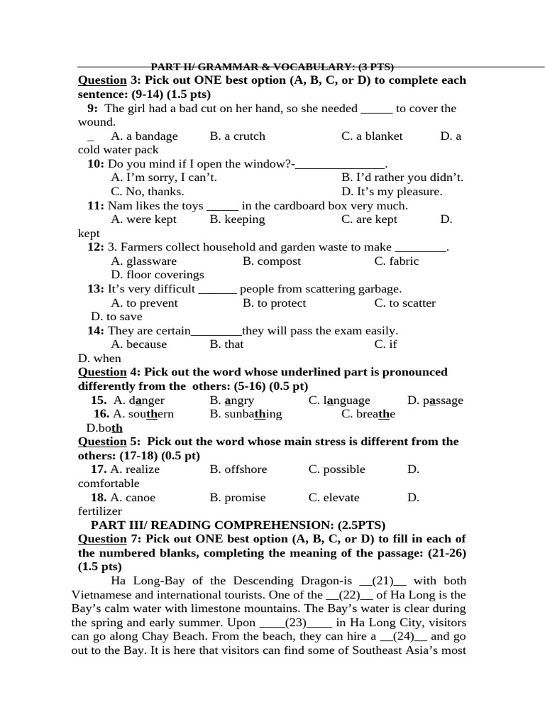 Grammar and Vocabulary Practice Test | PDF