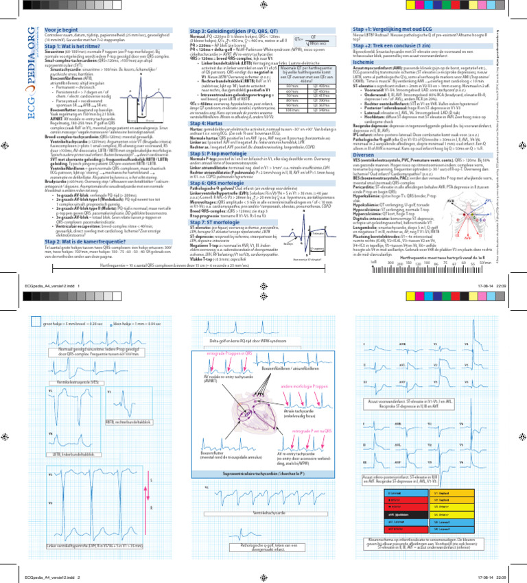 ecg-zakkaart-pdf