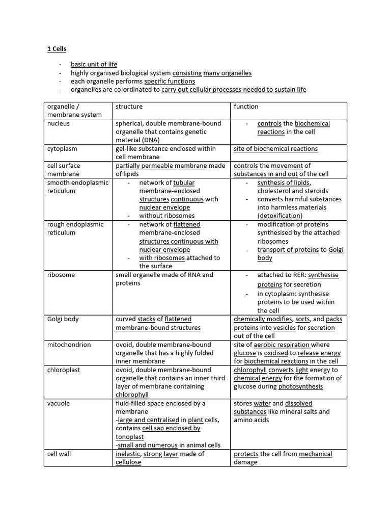2023 1 Notes For Cells | PDF | Cell (Biology) | Endoplasmic Reticulum