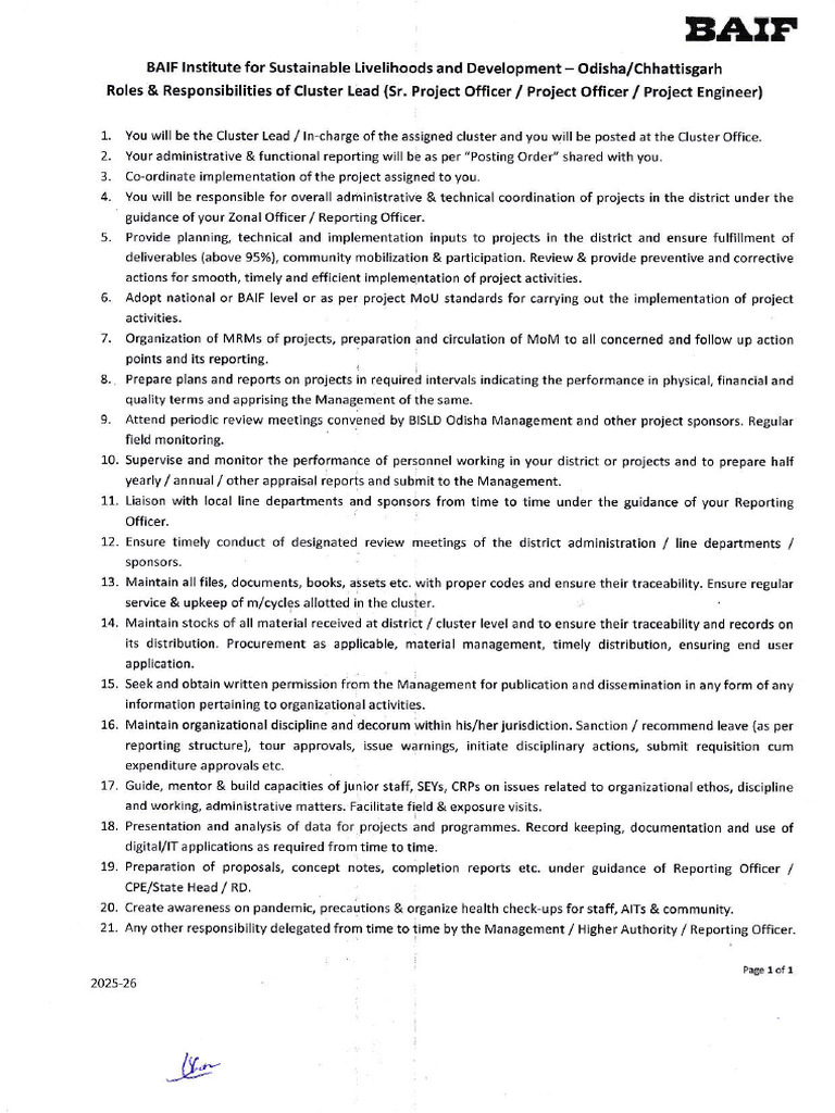 Cluster Lead Role Overview and Responsibilities | PDF