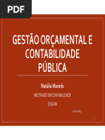 Estrutura do Plano de Contas SNC-AP | PDF | Contabilidade | Contas ...