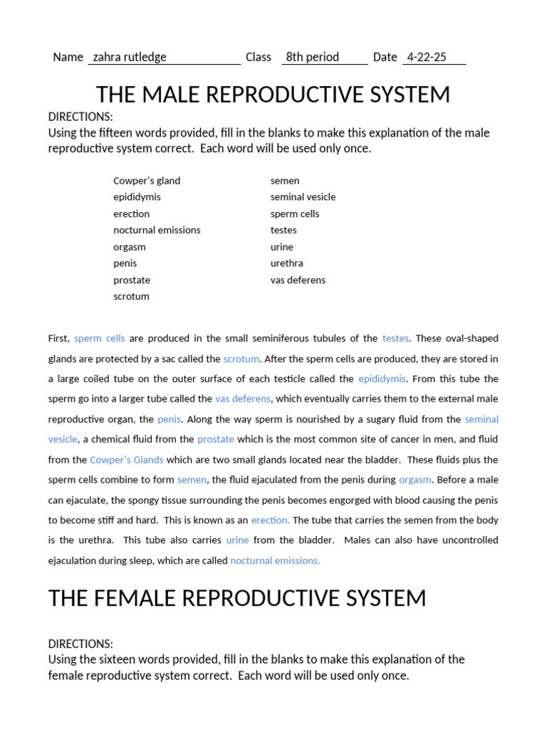 Reproduction System Paragraph (1) - Zahra Rutledge | PDF | Menstrual ...