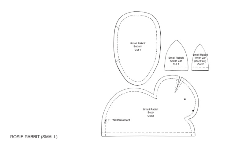 Rosie Rabbit Anatomy Overview | PDF