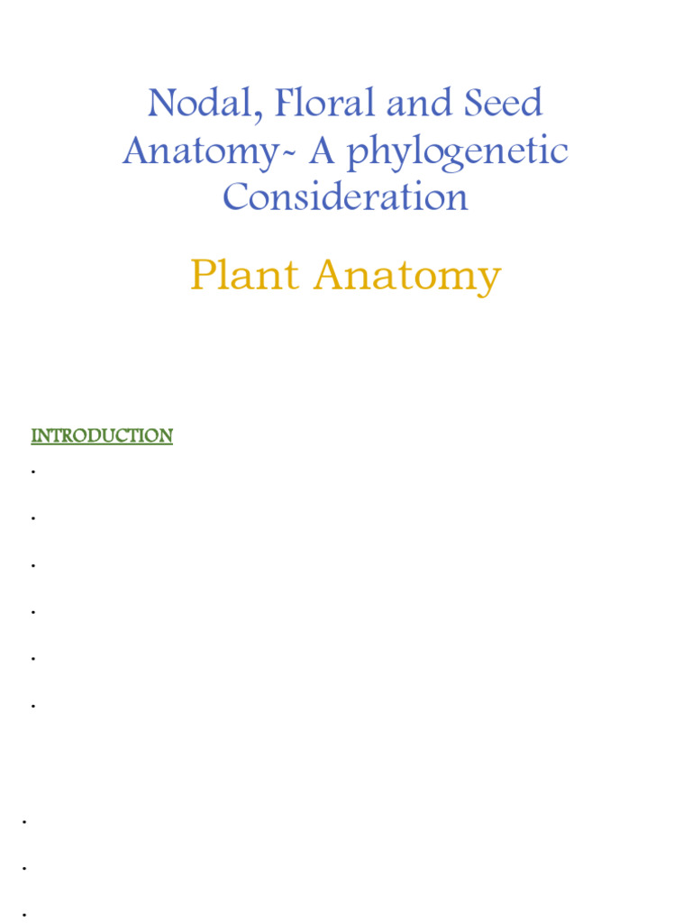 Nodal Anatomy in Dicotyledons | PDF | Seed | Leaf