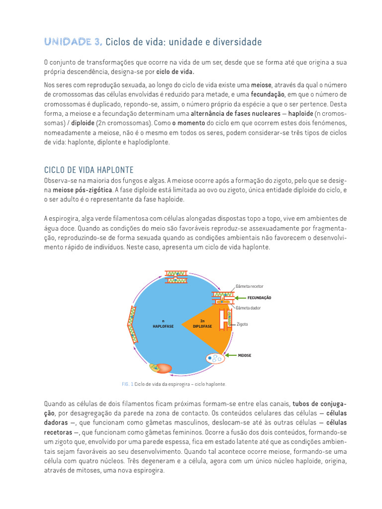 Ciclos de Vida: Haplonte, Diplonte, Haplodiplonte | PDF | Reprodução ...