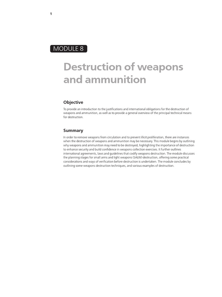 Weapons and Ammunition Destruction Guide | PDF | Ammunition | Risk ...