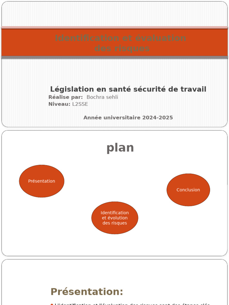 Projet 3 Identification Et Évaluation Des Risques (2) | PDF | Sécurité ...