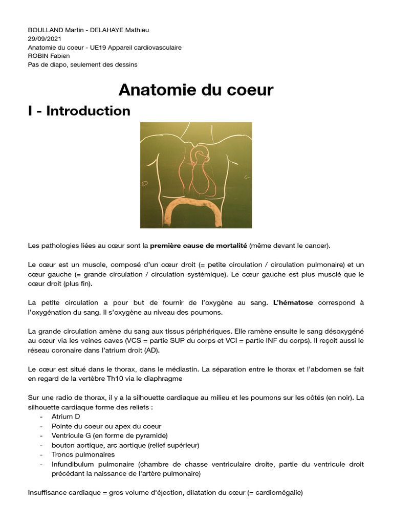Anatomie de l'atrium cardiaque | PDF | Valve cardiaque | Atrium (anatomie)