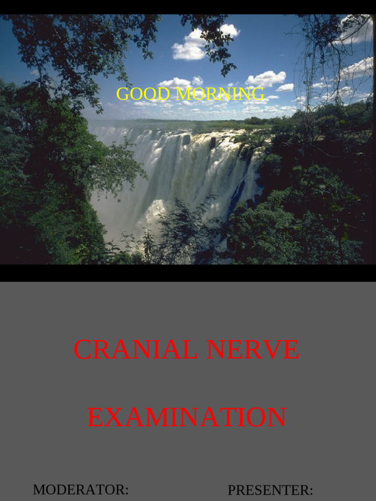 Comprehensive Cranial Nerve Examination Guide | PDF | Olfactory System ...