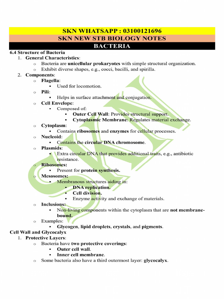 Bacteria Key Point Notes New STB Biology by SKN 2024 | PDF