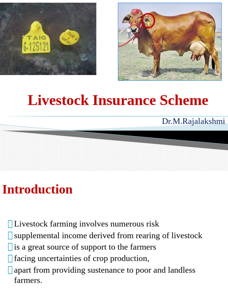Overview of Livestock Insurance Schemes | PDF | Insurance | Cattle