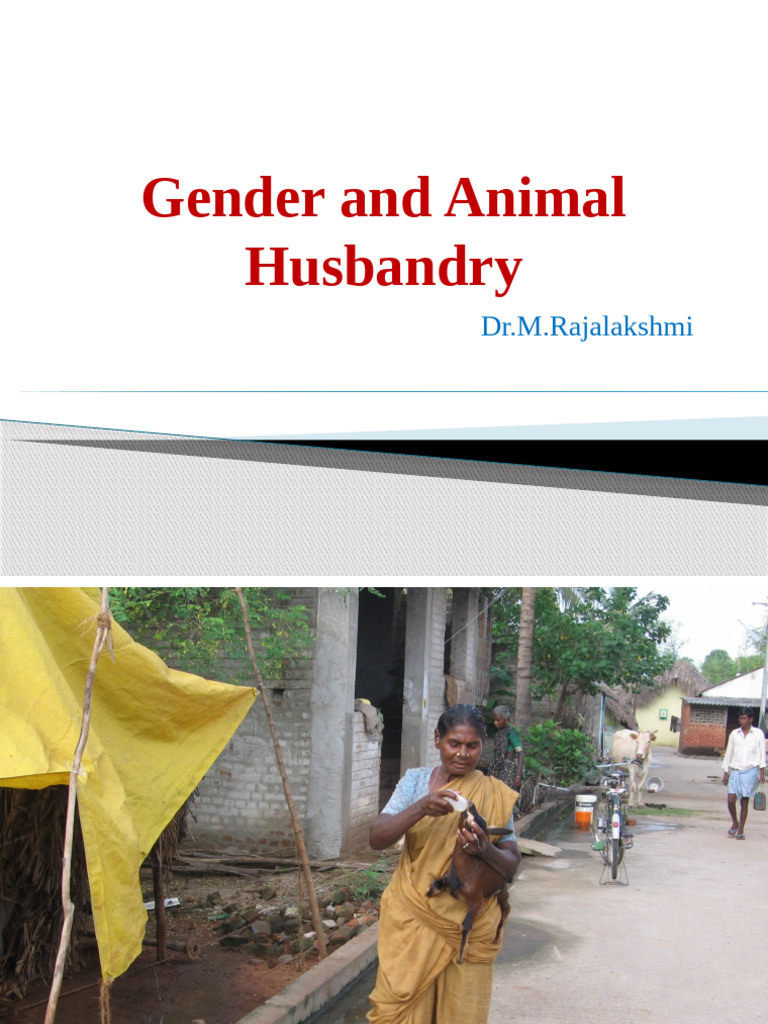 Gender Roles in Animal Husbandry | PDF | Livestock | Sheep