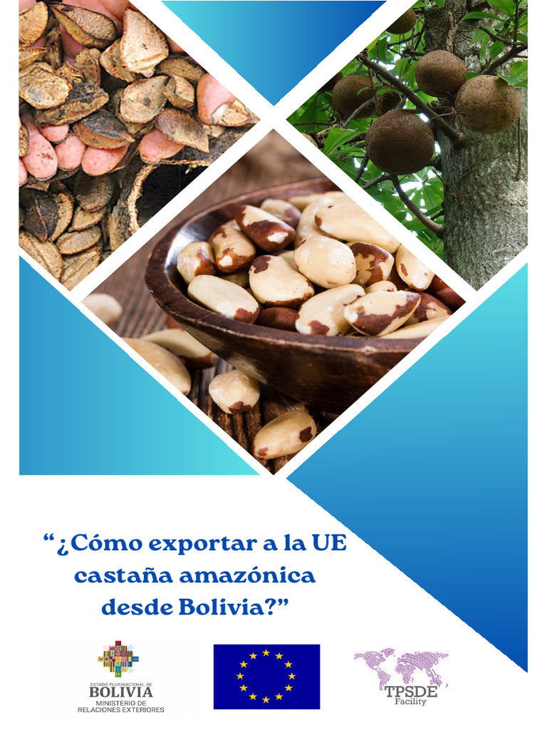 Exportación de castaña amazónica a la UE | PDF | Comidas orgánicas ...