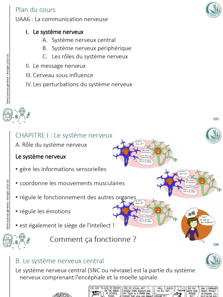 Comprendre le système nerveux en 5ème | PDF | Nerf | Système nerveux