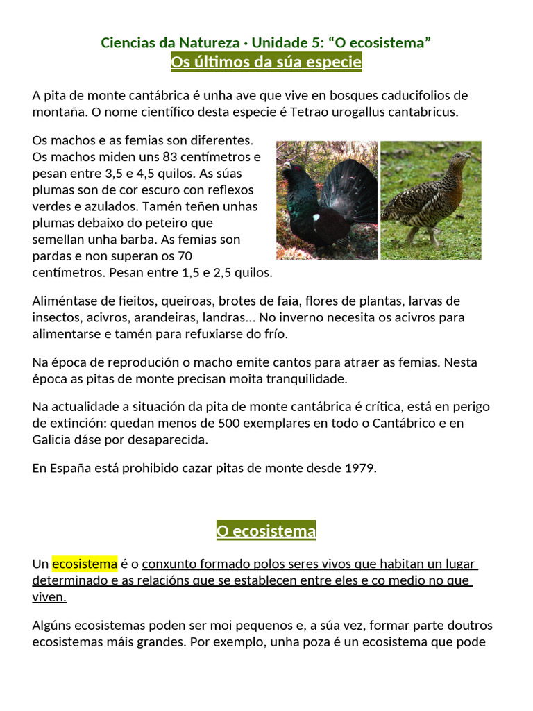 Tema 5 Os Ecosistemas | PDF