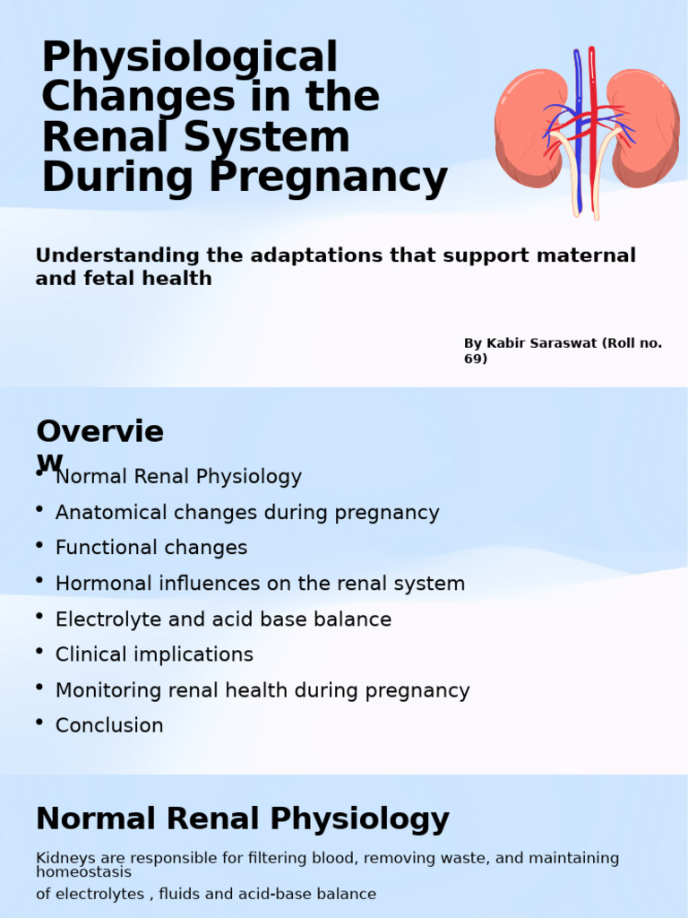 Renal System Changes in Pregnancy | PDF | Kidney | Urinary System