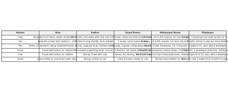 Comparison Formatted Anatomy Table | PDF