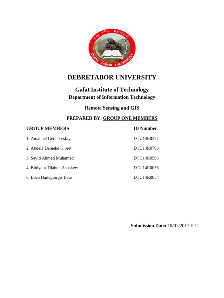 GIS Group Assignment | PDF | Digital Image | Remote Sensing