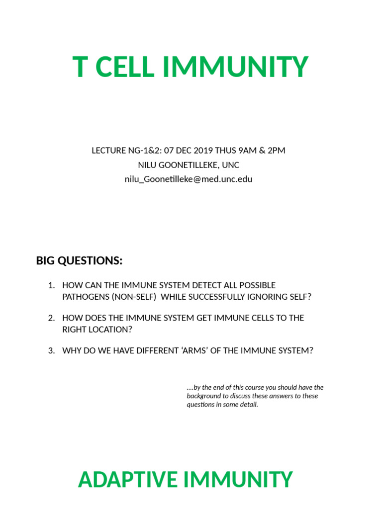 Lectures Thurs NG - 1-4 | PDF | T Cell | Major Histocompatibility Complex