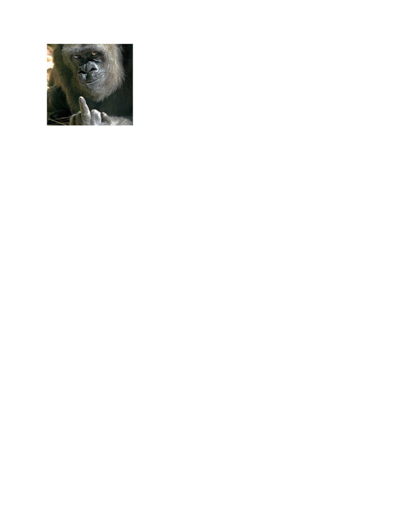 Aap Middelvinger | PDF